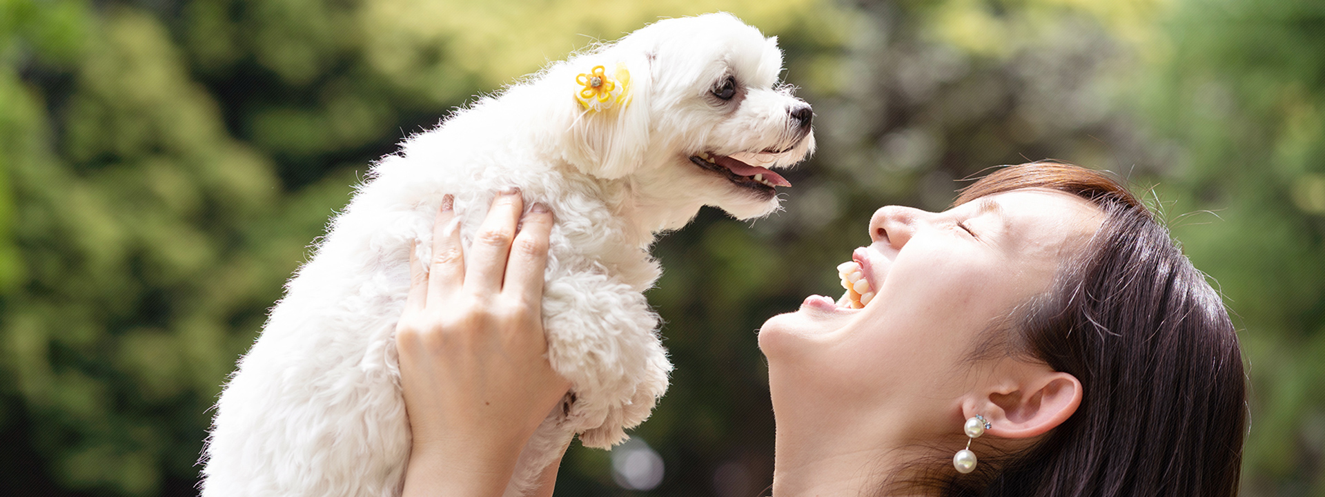 Pet Salon Parfait