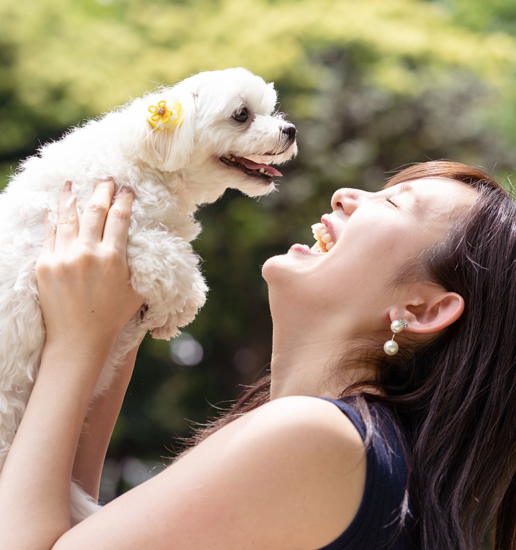 Pet Salon Parfait